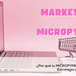 MARKETING Y MICROPYMES